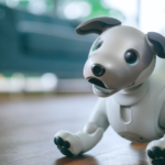 Europe times Europe news robotics aibo robot