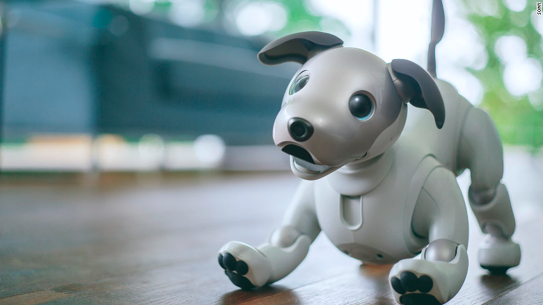 aibo robot dog 2019