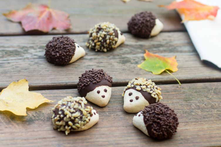 europe times european news trendy cookery cooking recipe food dishes Mouth Watering Hedgehog Cookies